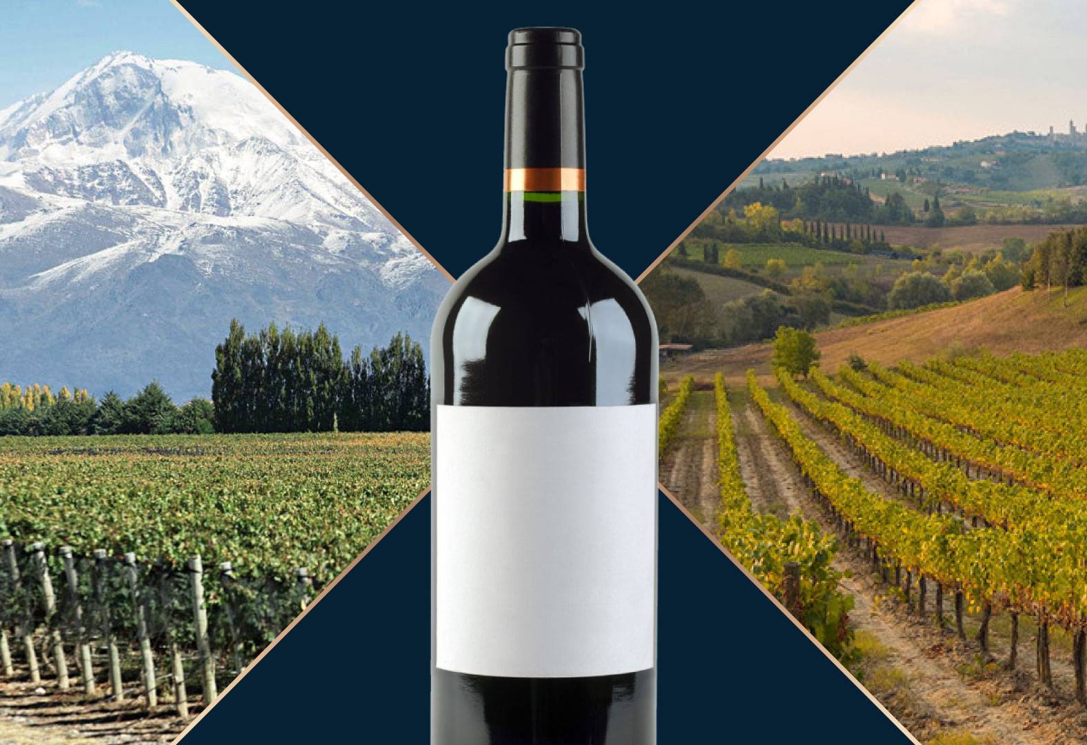 Vinos argentinos y vinos europeos