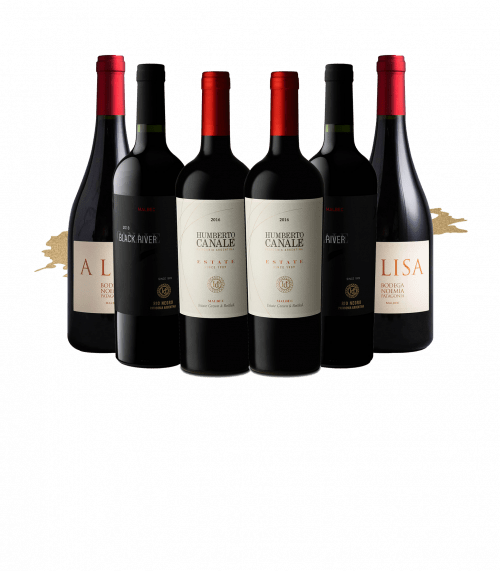 Patagonia Malbec